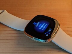 Fitbit Sense и Versa 3 могут перегреваться (Источник изображения: Inge Schwabe)