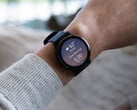 Компания Garmin тестирует новые функции голосового помощника на Vivoactive 5 и Venu 3 с помощью последнего бета-обновления для этой пары. (Источник изображения: Garmin)