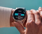 В последнем обновлении Garmin представлено множество исправлений ошибок, улучшений и новых функций. (Источник изображения: Garmin)