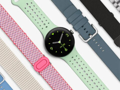 Pixel Watch 3, вероятно, станут одними из первых смарт-часов, которые получат стабильные сборки на базе Android 15. (Источник изображения: Google)