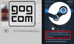 GOG наиболее характерно отреагировал на новое заявление Valve о лицензировании. (Источник изображения: Valve / GOG - отредактировано)