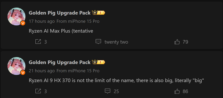 Отчет Golden Pig Upgrade о новых APU серии AMD Ryzen AI 300 (Источник изображения: Weibo - машинный перевод)
