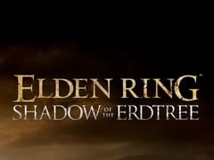 FromSoftware не спешит с выпуском сиквела Elden Ring (источник изображения: FromSoftware)