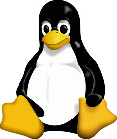 Linux Kernel 6.11 уже на подходе, и в нем появилась поддержка нового оборудования. (Изображение: Wikimedia Commons)