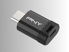 USB-накопитель PNY Elite-X Fit Type C (Источник изображения: PNY)