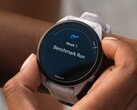 Несколько смарт-часов Garmin Forerunner получили бета-версию обновления 21.18. (Источник изображения: Garmin)